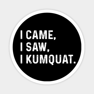 I Came I Saw I Kumquat Magnet